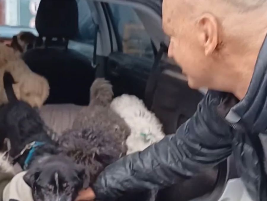 Leandro Rud con sus perros