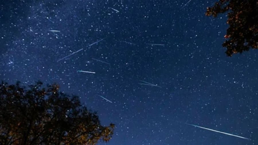 1208_perseidas