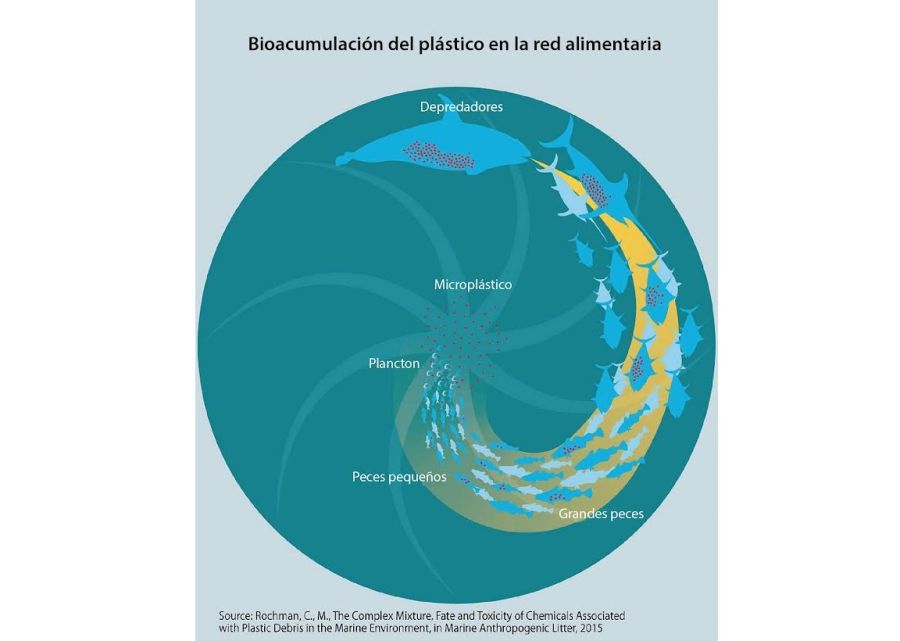 Microplasticos mar Arg