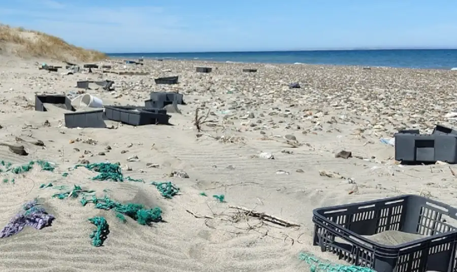 Microplasticos mar Arg