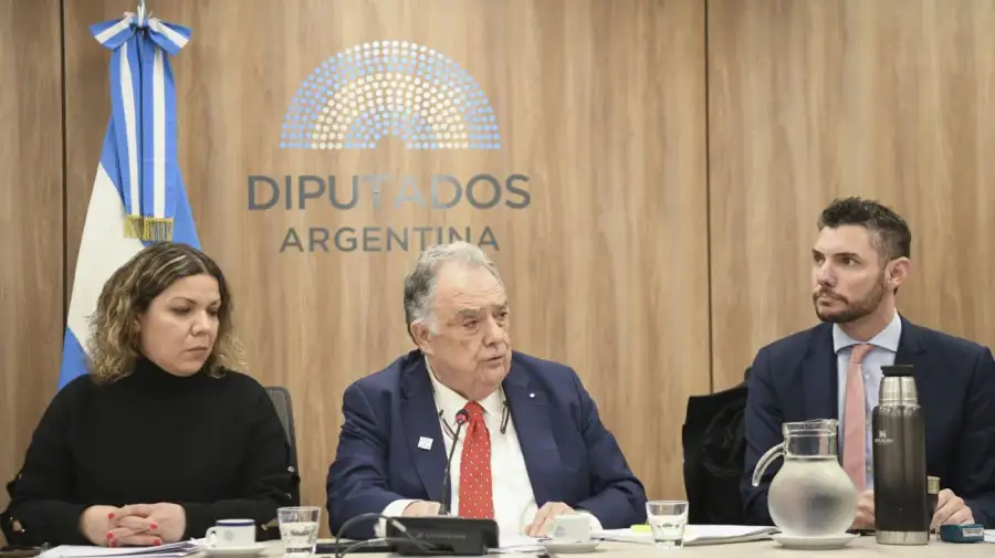 Comisión Diputados Mercosur-UE y Conflicto Brasil