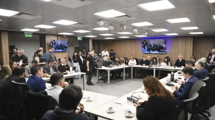 Comisión Diputados Mercosur-UE y Conflicto Brasil