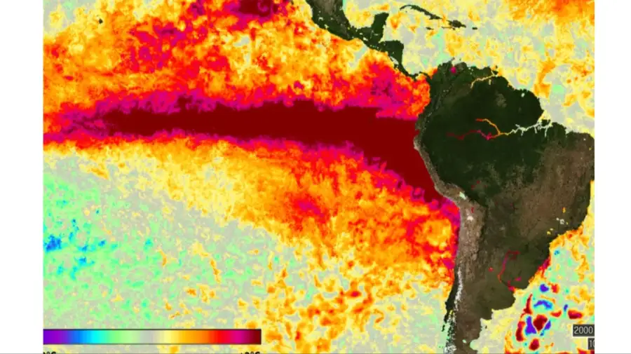 El Océano Pacífico registra un calentamiento acelerado