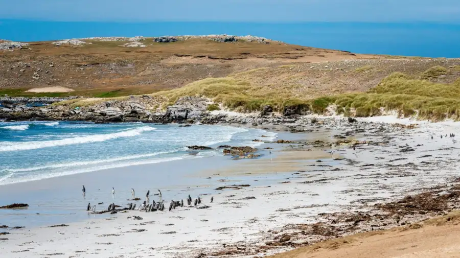 Islas Malvinas