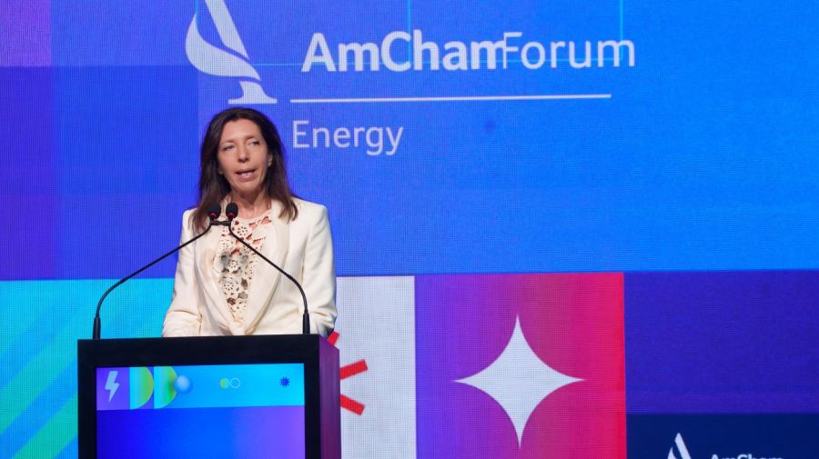 Mariana Schoua, presidente de Amcham