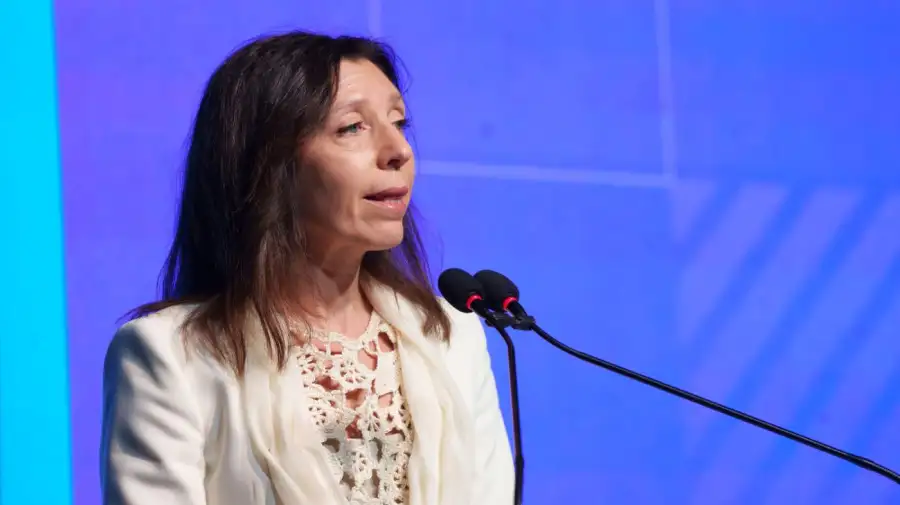Mariana Schoua, presidente de Amcham