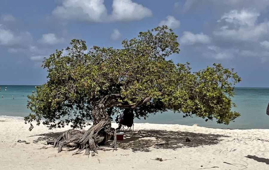0814_aruba