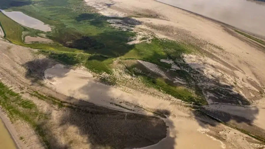 Organizaciones ambientales advirtieron por la deforestación del Amazonas y los riesgos en Brasil y la región