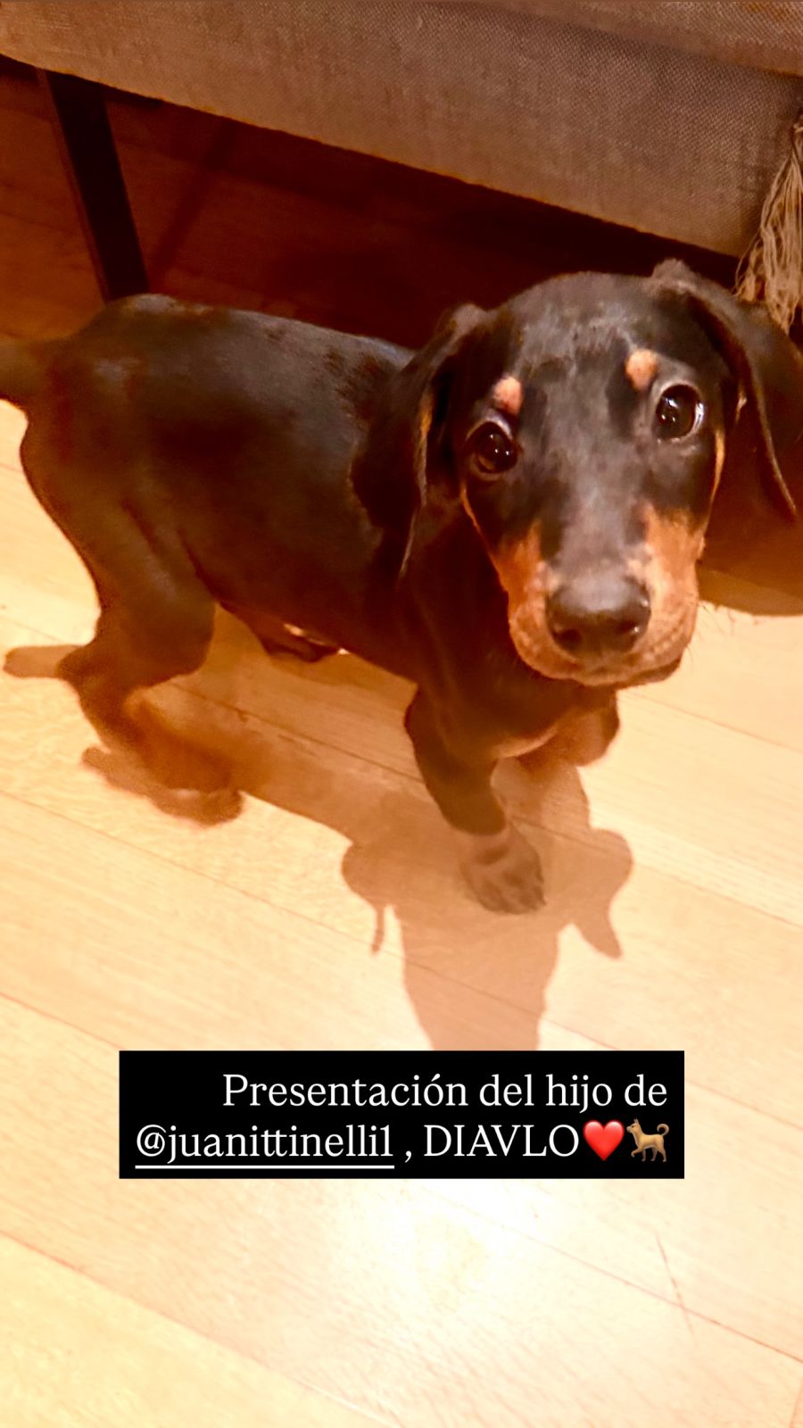 Presentación de Diavlo