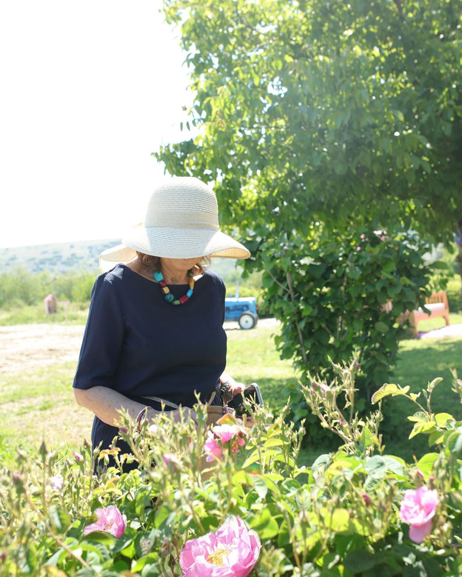 Rosas Turcas Fragancias Turkish