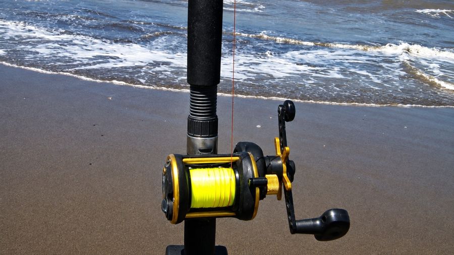 1708_reels