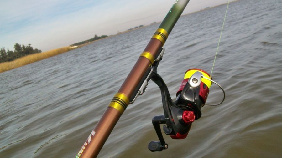 1708_reels