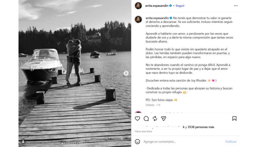 Anita Espasandin defendió a Benjamín Vicuña