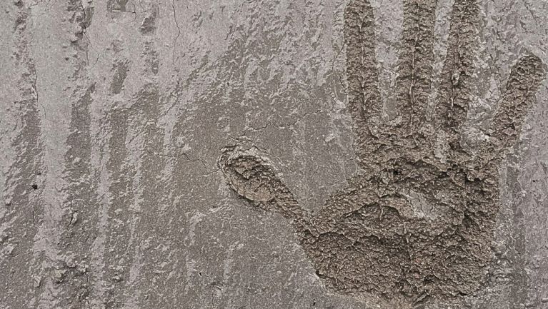 Habitat para la humanidad