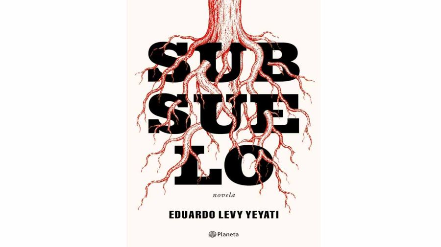 Subsuelo