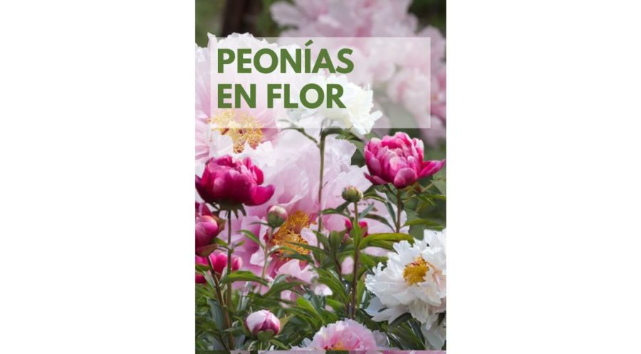 Dos escapadas para descubrir la belleza de las flores