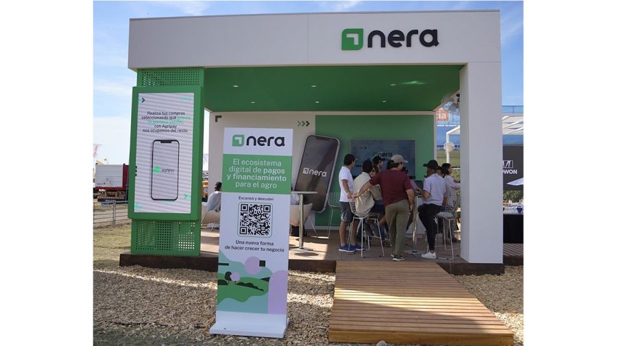 Nera semestral