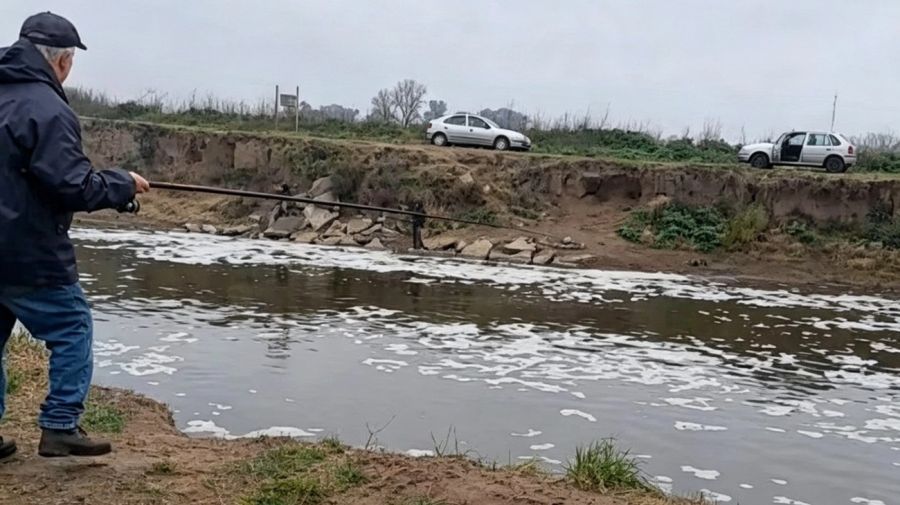 2008_bragado