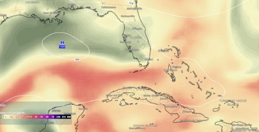 2008_miami