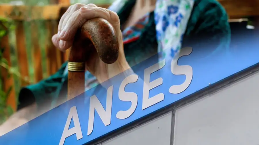 Anses