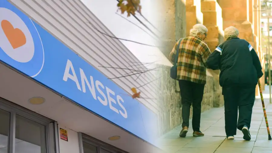 Anses