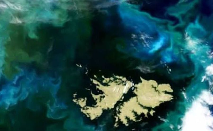 2508_malvinas