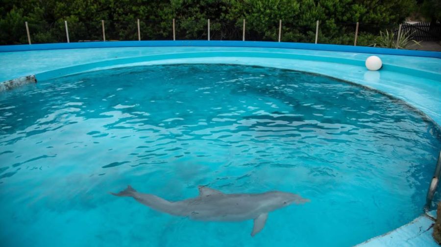 Aquarium de Mar del Plata