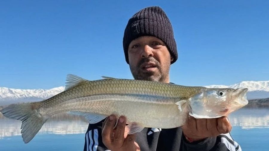 2808_mapa_pique_pesca