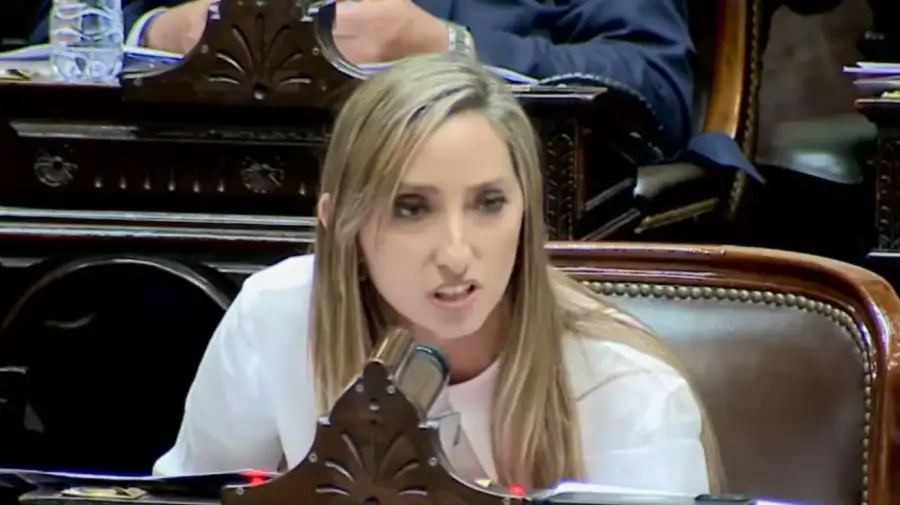 Diputada Julia Strada