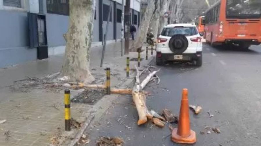Viento Zonda en Mendoza