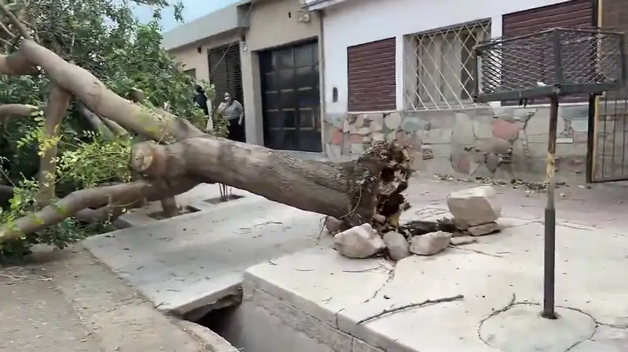 Viento Zonda en Mendoza
