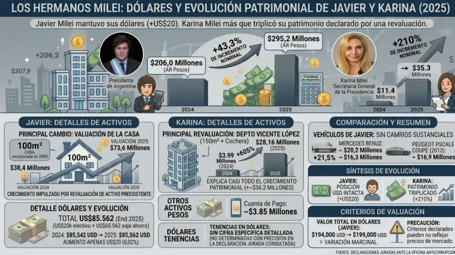 Infografía declaraciones juradas hermanos Milei