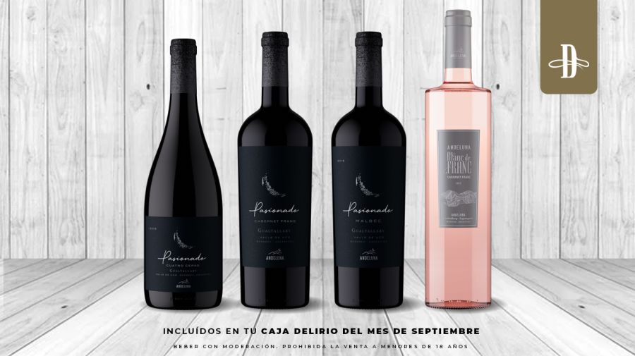 Bodega Andeluna en Delirio