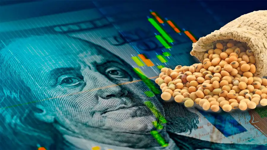 Soja Dólar