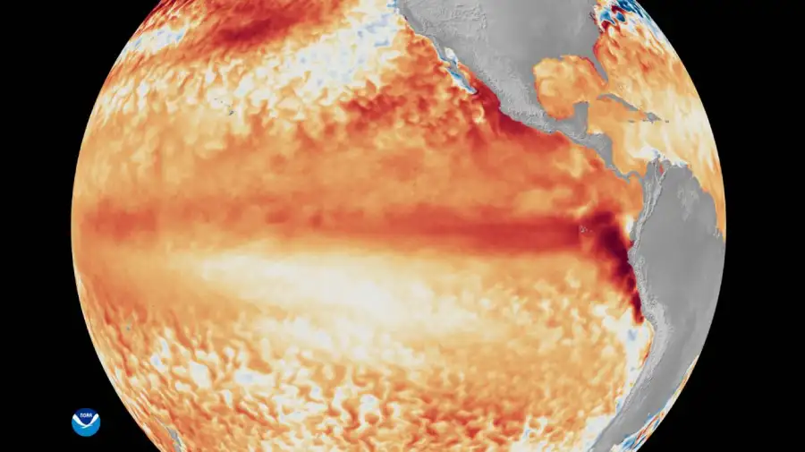 El Niño entra en una fase crítica y tiene más de 90% de probabilidad de alcanzar una intensidad muy fuerte
