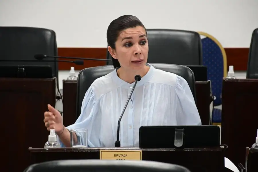 Katia Blanc, diputada del Frente Renovador en Chaco