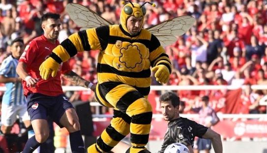 Memes camiseta de Racing
