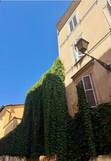 Roma