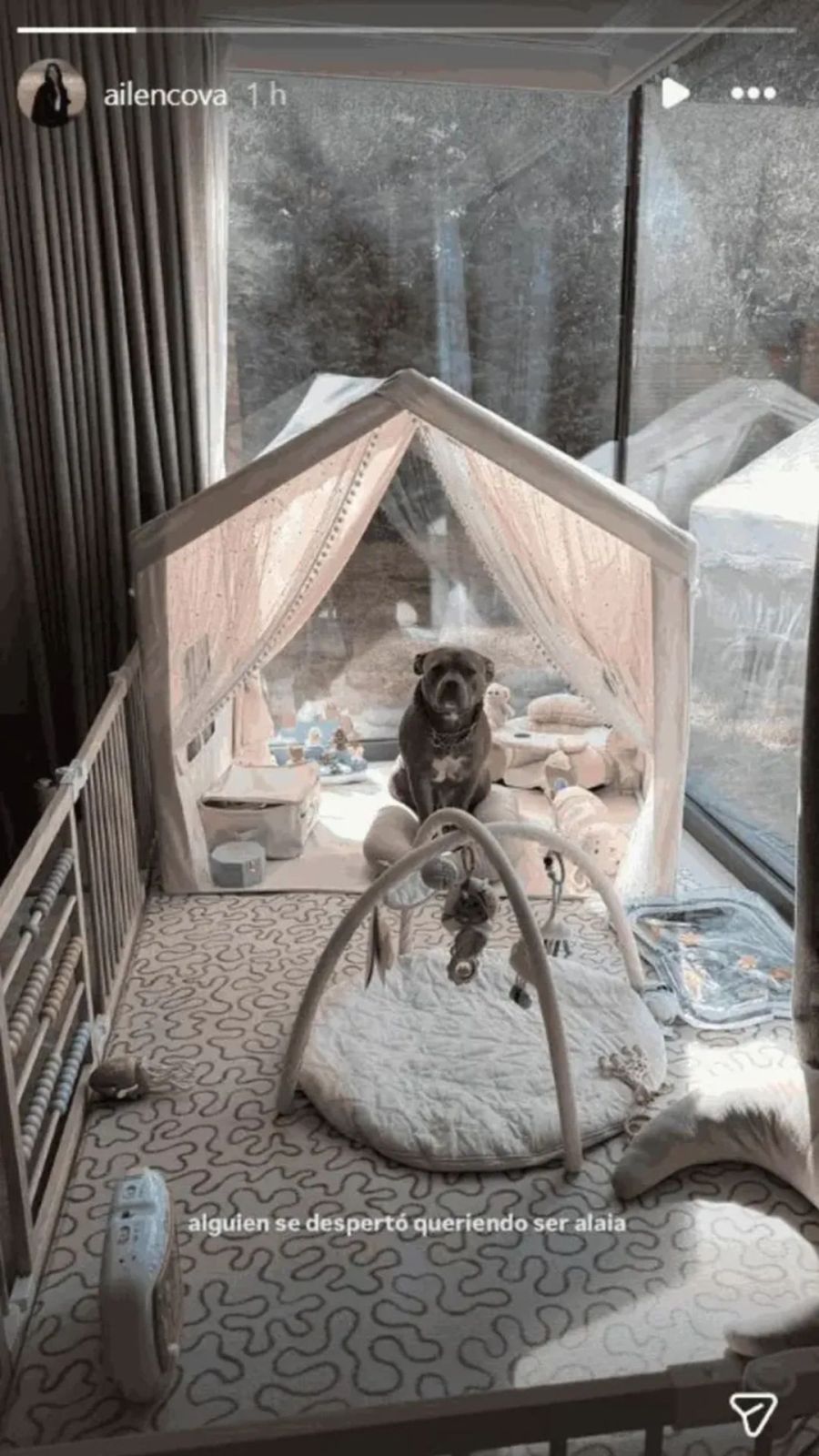 La habitación de Alaia, la hija de Alexis Mac Allister y Ailén Cova