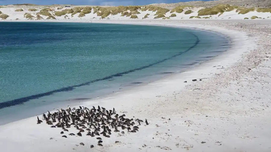 Islas Malvinas