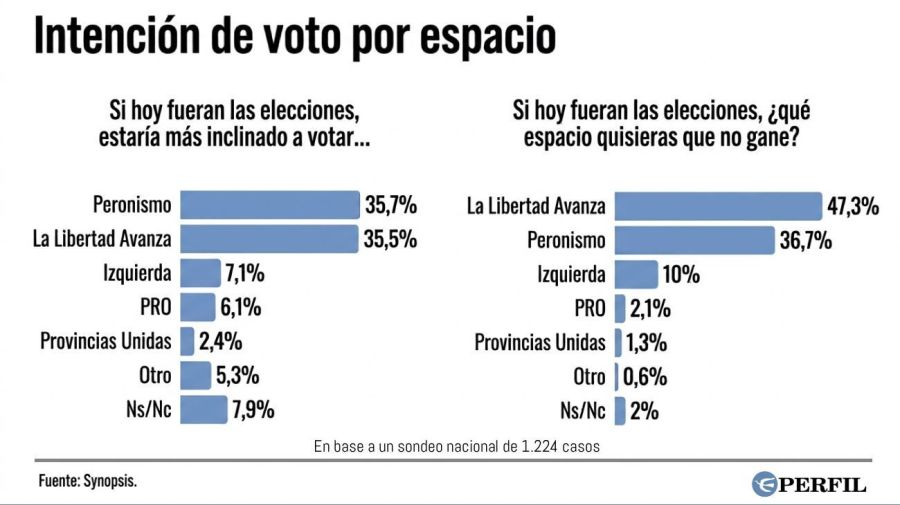 Gráfico encuesta Synopsis I