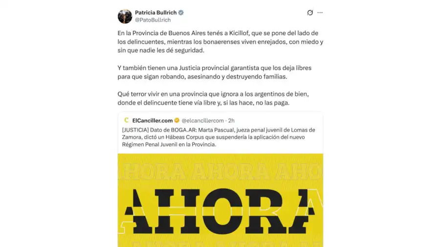Patricia Bullrich X 07092026