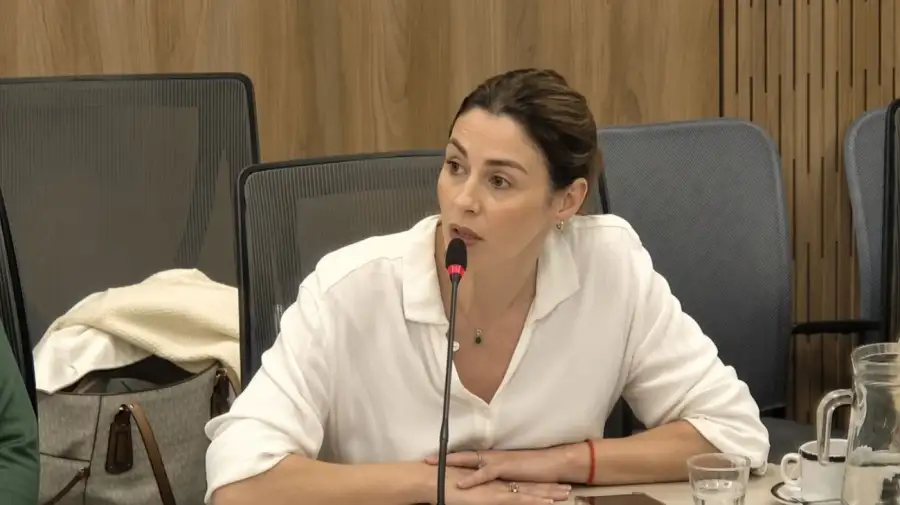 Pagano en la Comisión de Libertad de Expresión