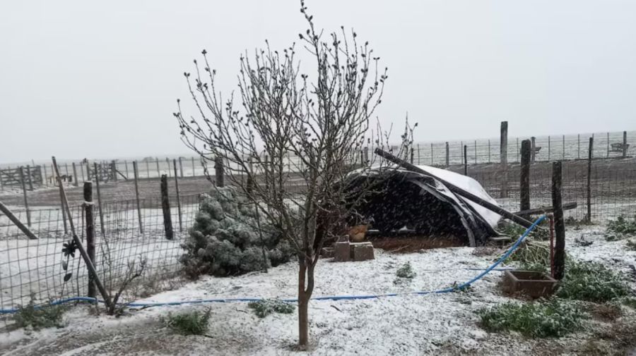Nieve en Chaján, Córdoba.