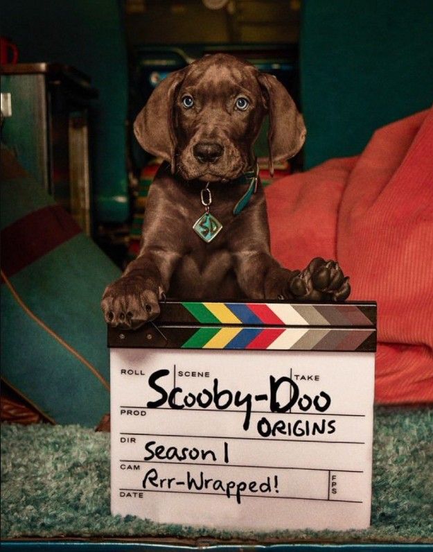 Scooby Doo