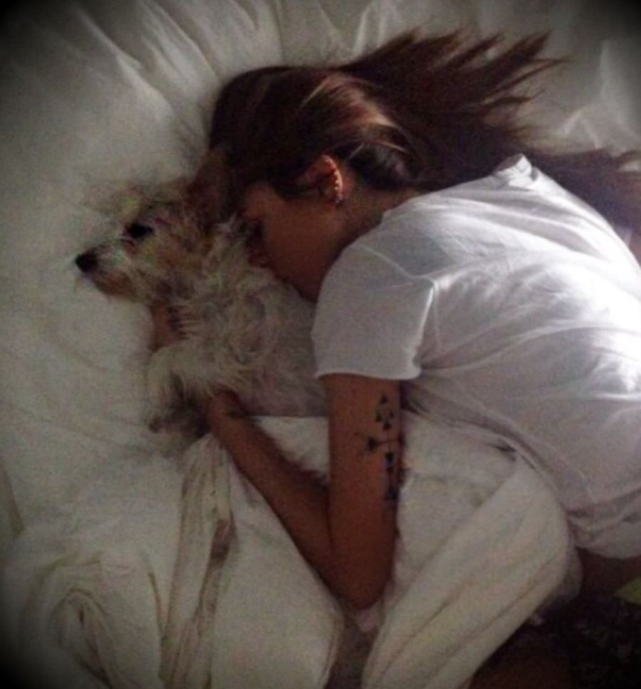 Cande Tinelli por la muerte de su perra