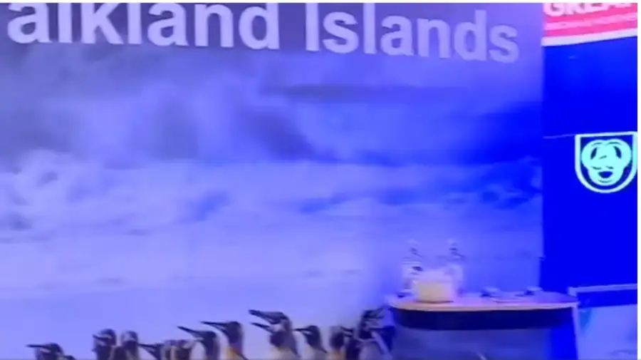 El stand de las Islas Malvinas en el pabellón británico de la Expo Prado de Uruguay