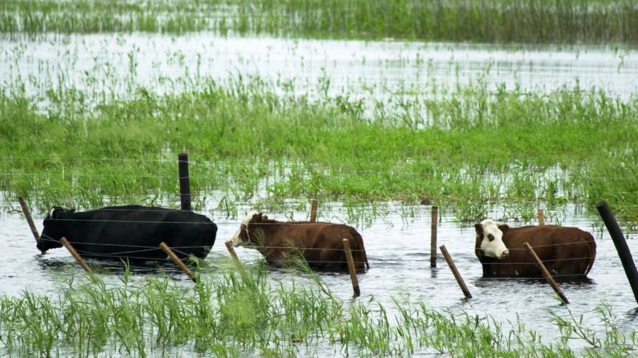 El Niño: alertan por crecidas históricas del Río Paraná y pone al Litoral bajo mayor