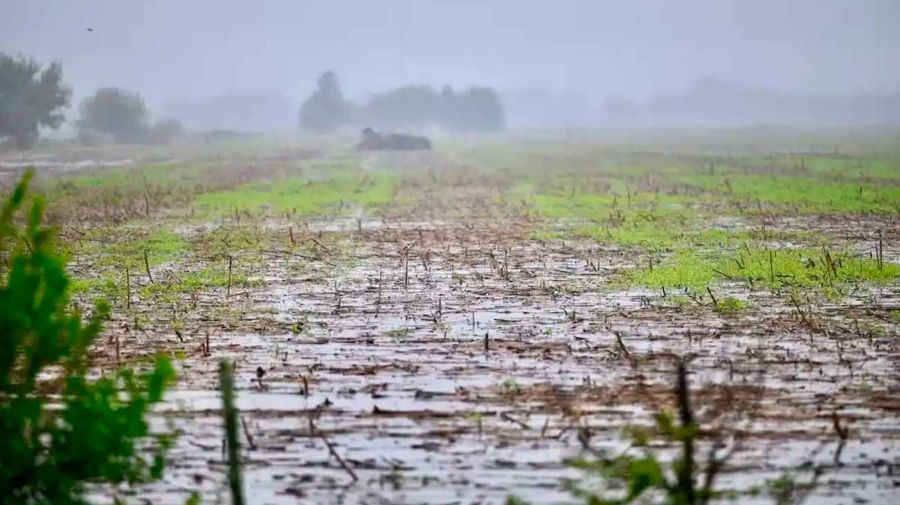 La OMM aseguró que El Niño “se extenderá,al menos, hasta febrero del 2027”