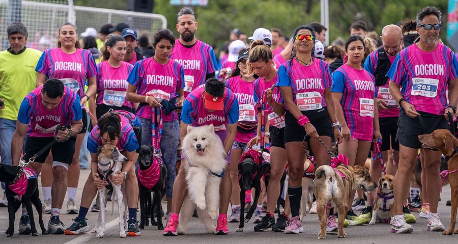 0921_dogrun